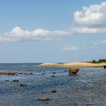 Loona Manor فندق Kihelkonna