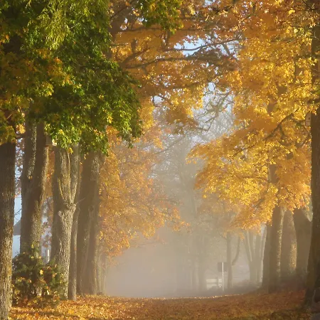 Loona Manor فندق Kihelkonna