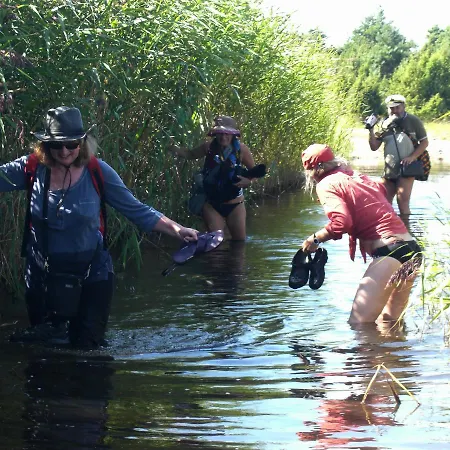 فندق Loona Manor *