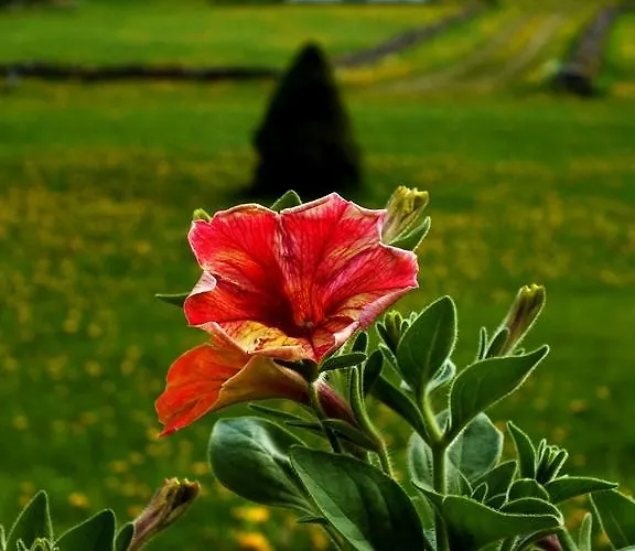 Hotell Loona Manor Kihelkonna